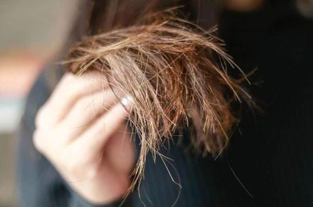 Gợi ý cách chăm sóc tóc để tránh tình trạng khô xơ, chẻ ngọn