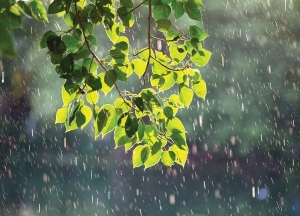 Dự báo thời tiết ngày 3/5/2024: Hà Nội mưa to, cảnh báo giông lốc