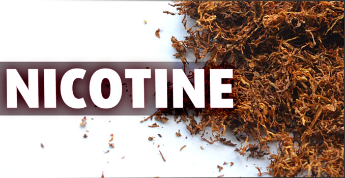 Những loại thực phẩm giúp loại bỏ Nicotine ra khỏi cơ thể