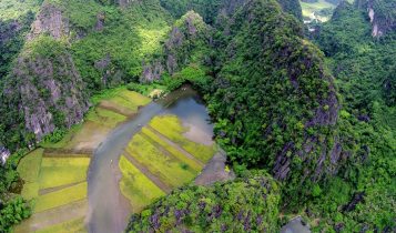 Tam Cốc vào mùa lúa chín đẹp tuyệt vời!