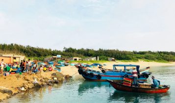 Du khách được lựa chọn hải sản tươi ngon ở Cù Lao Thu
