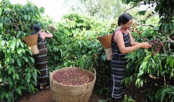 Tập đoàn Nestlé được công nhận là công ty dẫn đầu thực hiện Hiệp ước toàn cầu Liên hiệp quốc