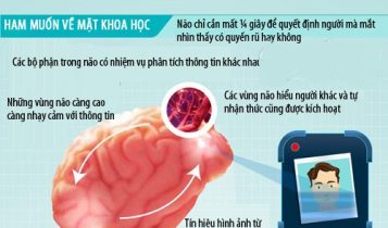 Bạn có biết não hoạt động thế nào khi sex?