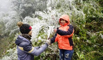 Miền Bắc rét hại, Sa Pa mưa tuyết