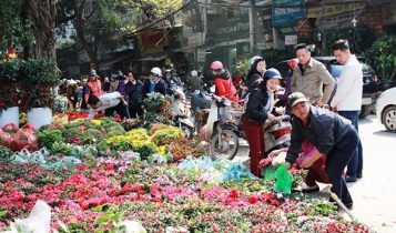 Thời tiết Hà Nội ngày nắng ấm, tối nhiệt độ hạ thấp