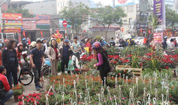 Hà Nội nắng ấm ngày đầu nghỉ Tết