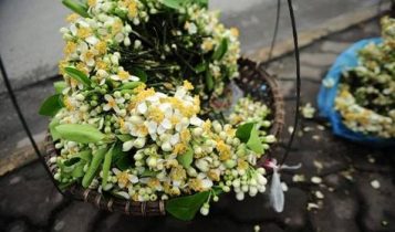Dự báo thời tiết 8/3: Hà Nội rét, mưa phùn