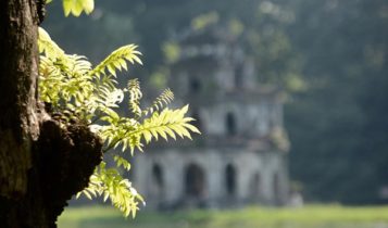 Thời tiết Hà nội nhiệt độ tăng vào trưa và chiều