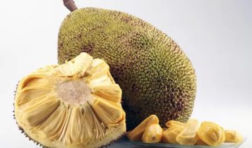 Lợi ích từ trái mít với sức khỏe