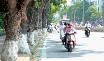 Thời tiết Hà Nội ngày nắng nóng, đêm có mưa