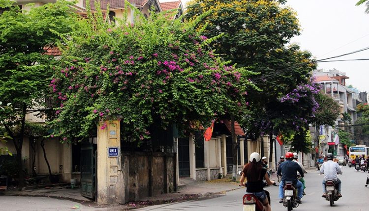 Dự báo thời tiết 11/7, Hà Nội ngày nắng đêm mưa