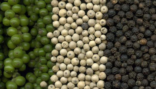 Giá tiêu 28/7: Không có biến động