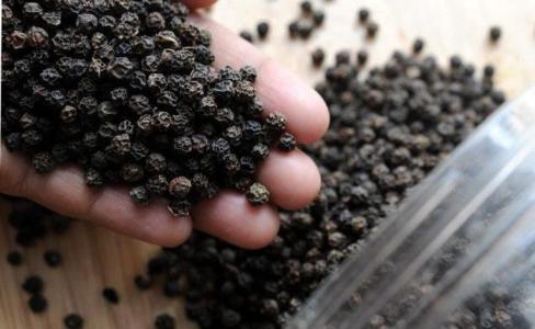 Giá tiêu 18/10: Tăng 500 đồng/kg