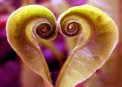 Khám phá bí quyết thổi bùng lửa ‘yêu’