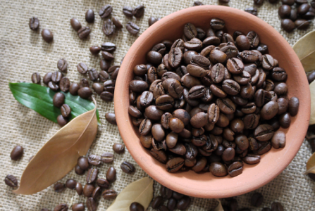 Giá cà phê 24/2: Rớt giá xuống thấp