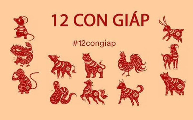 Tử vi ngày 8/3/2020: Tuổi Thìn cát tinh nâng đỡ, tuổi Hợi tài lộc bất ngờ