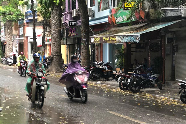 Dự báo thời tiết ngày 25/4/2020: Không khí lạnh tăng cường, Hà Nội mưa rét