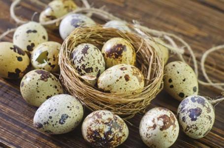 15 tác dụng chữa bệnh thần kỳ của trứng chim cút
