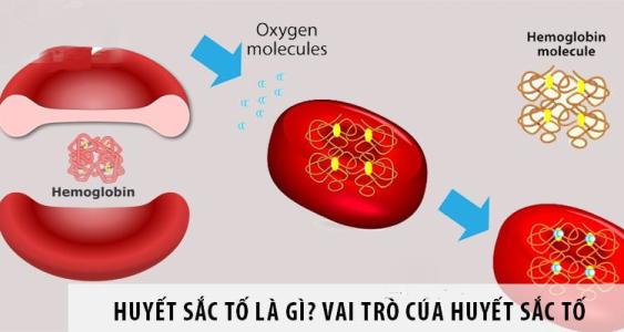 Bệnh huyết sắc tố, thông tin quan trọng