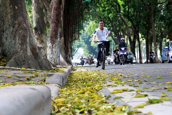 Dự báo thời tiết ngày 7/8/2020: Hà Nội tăng nhiệt nhẹ