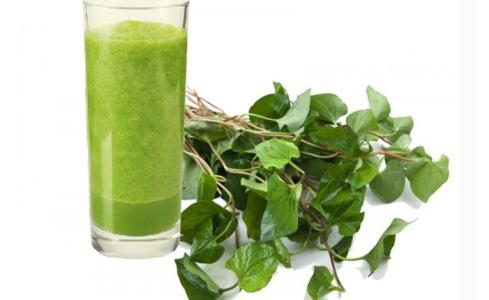 Nước lá tự nhiên là thần dược giúp giải độc cơ thể, trị sạch mụn, thâm nám, tàn nhang