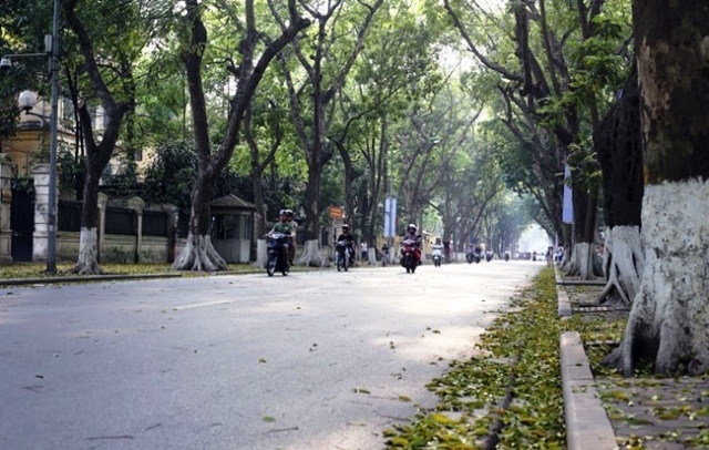 Dự báo thời tiết ngày 10/2/2021: Miền Bắc hửng nắng