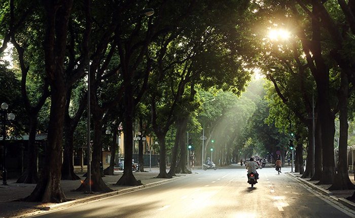 Dự báo thời tiết ngày 15/2/2021: Miền Bắc rét về đêm và sáng, ngày nắng