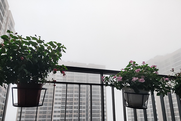 Dự báo thời tiết ngày 9/3/2021: Hà Nội sương mù giăng kín