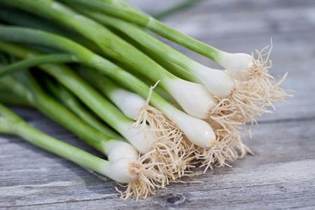 Những thực phẩm đại kỵ với hành lá