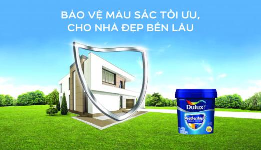 Những nguyên nhân khiến tường nhà bị phai màu và xuống cấp nhanh chóng