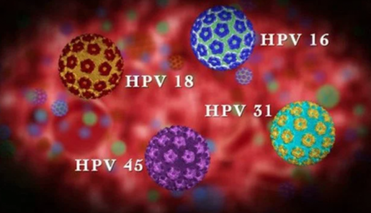 Dấu hiệu cho thấy bạn bị nhiễm virus HPV