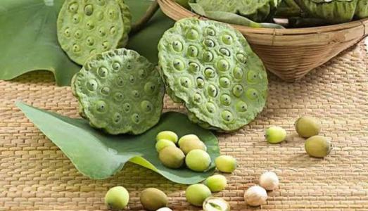 Lợi ích của hạt sen mà bạn không thể bỏ lỡ