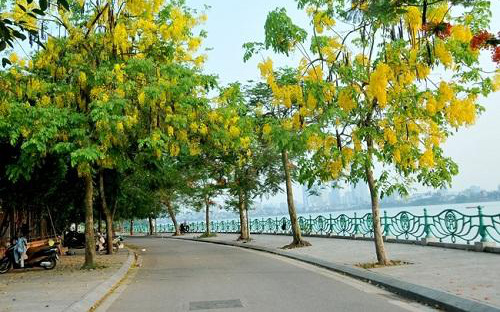 Dự báo thời tiết ngày 7/9/2021: Hà Nội dịu mát