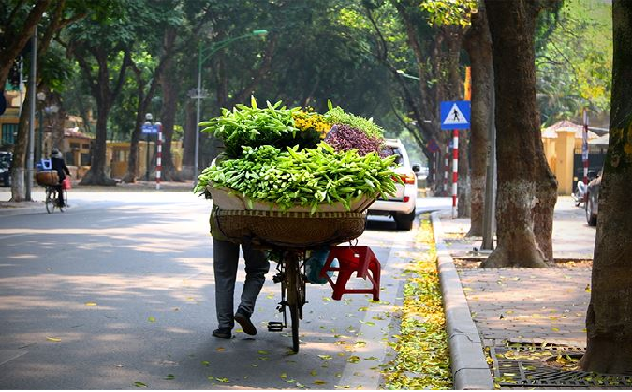 Dự báo thời tiết ngày 19/9/2021: Hà Nội ban ngày có nắng