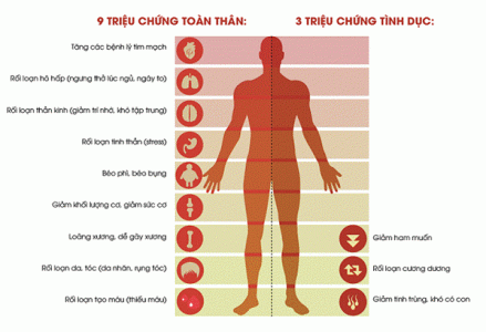 Dấu hiệu của testosterone thấp ở nam giới dưới 30 tuổi