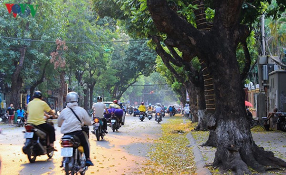 Dự báo thời tiết ngày 15/12/2021: Không khí lạnh tăng cường, Hà Nội vẫn nắng hanh