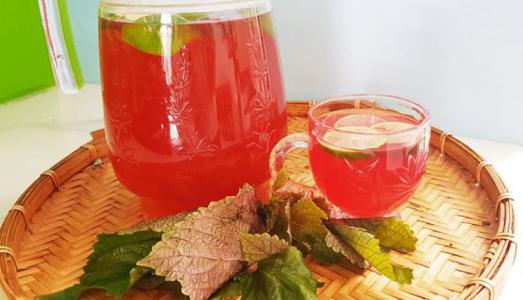 Cách dùng lá tía tô cho F0 và trị ho tốt