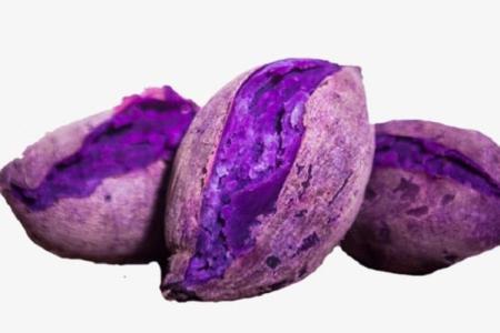 Loại chất được xem là 