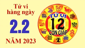 Dự báo thời tiết ngày 2/2/2023: Miền Bắc nồm ẩm, Trung và Nam Bộ có mưa giông