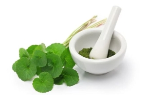 Cách làm đẹp da bằng rau má chống lão hóa và thải độc cho da