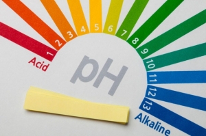 4 biện pháp tự nhiên giúp cân bằng pH âm đạo