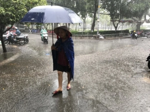 Dự báo thời tiết ngày 31/8/2023: Nam Tây Nguyên, Đông Nam Bộ mưa lớn, có nơi 150mm