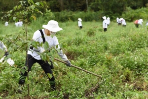 L’Oréal Việt Nam thực hiện cam kết ‘Trồng rừng cho tương lai'