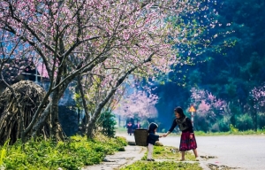 Dự báo thời tiết ngày 11/2/2024: Miền Bắc ngày nắng nhiều, đêm rét sâu