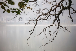 Dự báo thời tiết ngày 16/2/2024: Miền Bắc có mưa nhỏ rải rác