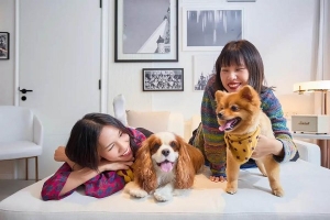 Meliá Hotels International ra mắt chương trình 'Thân thiện với thú cưng'