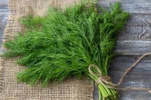 Loại rau là ‘báu vật’ giúp sống khoẻ, sống thọ