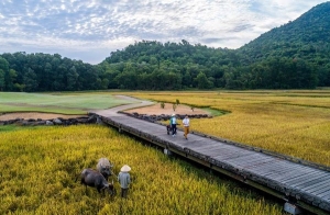 Vietnam Golf Coast tăng cường hỗ trợ cộng đồng với các dự án phát triển bền vững