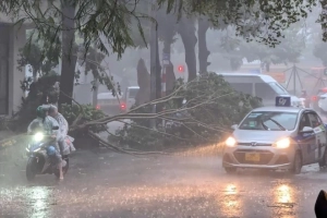 Dự báo thời tiết ngày 8/9/2024: Bão số 3 suy yếu thành áp thấp nhiệt đới, Tây Bắc Bộ mưa to 350mm