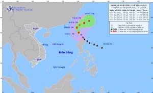 Dự báo thời tiết ngày 15/11/2024: Bão Usagi tiến vào biển Đông, miền Bắc se lạnh